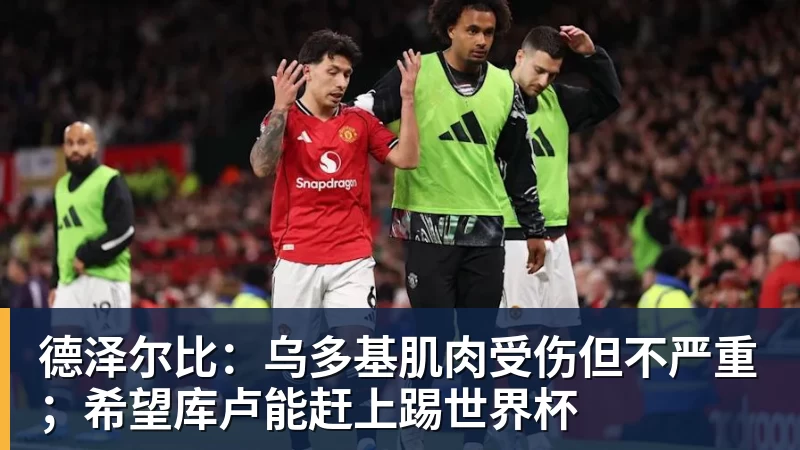 德泽尔比:乌多基肌肉受伤但不严重;希望库卢能赶上踢世界杯